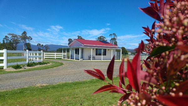 Little Sunnyside Accommodation image 7